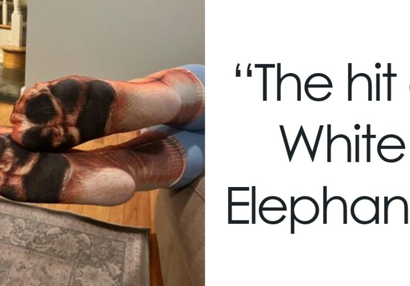 You Found WHAT On Amazon? 23 Of The Weirdest Picks