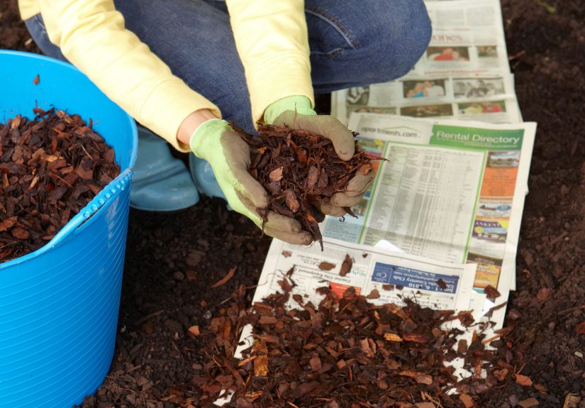 12 Genius Ways to Use Old Newspapers in Your Garden