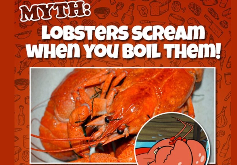 24 Food And Cooking Myths