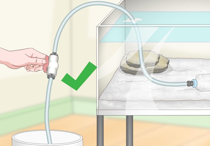 3 Ways to Make a Gentle Aquarium Siphon or Vacuum