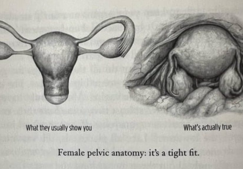30 Wild Facts People Learned About The Female Body And Needed To Share