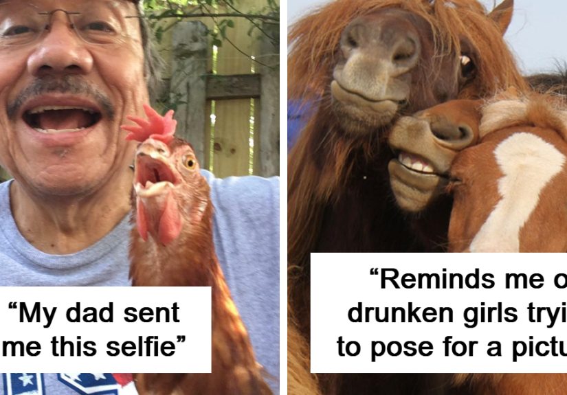 50 Cute And Funny Animals Who Can Take A Better Selfie Than You Ever Will
