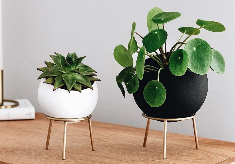 8 Plant Stands You and Your Indoor Plants Will Love