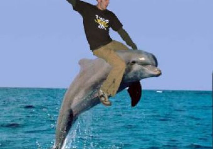 #812 When You’re Drowning and Then a Dolphin Comes to Your Rescue - 1000 Awesome Things