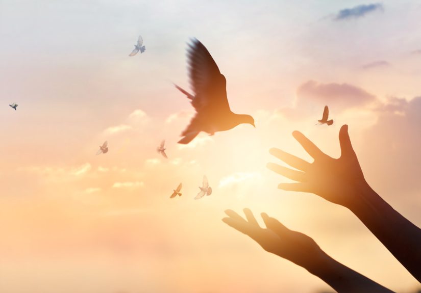 A Physician's Faith in God