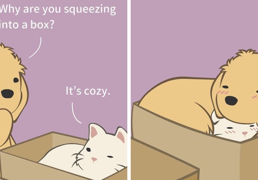 Artist Illustrates Animal Life, Shows What These Little Cute Beings Are Really Like (26 New Comics)