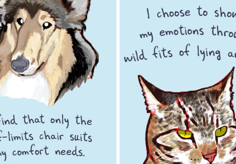 Artist Illustrates Honest Confessions From Pets, And Here Are The 30 Best Ones