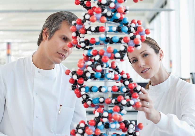 Autosomal DNA: Definition, Dominant, Recessive, Test, Examples