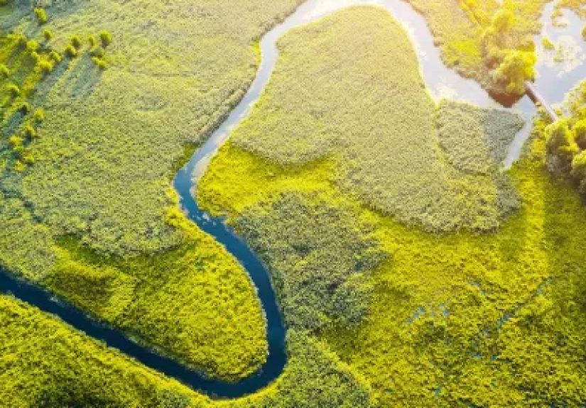 Florida Senate Bill 492 Reshapes Wetland Mitigation