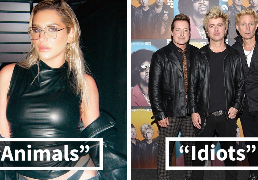 From “Animals” To “Idiots,” These Hilariously Cool Celebrity Fanbase Names Rule The Universe