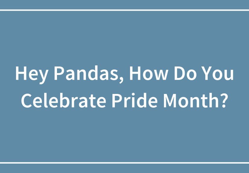 Hey Pandas, How Do You Celebrate Pride Month?