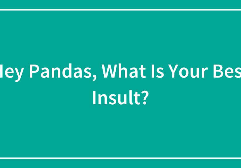 Hey Pandas, What Is Your Best Insult?