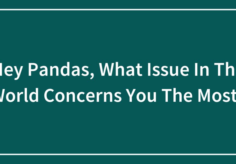 Hey Pandas, What Issue In The World Concerns You The Most?