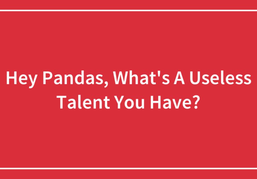 Hey Pandas, What’s A Useless Talent You Have?