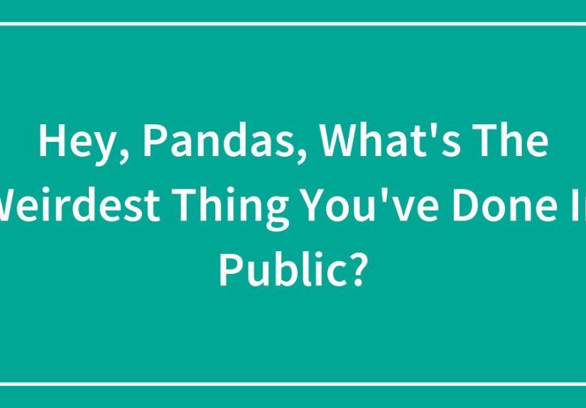 Hey, Pandas, What’s The Weirdest Thing You’ve Done In Public?