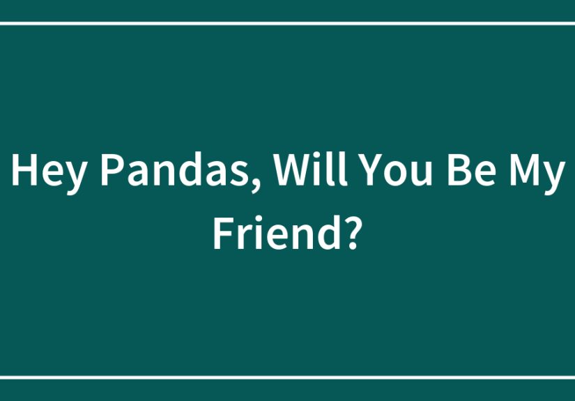 Hey Pandas, Will You Be My Friend?