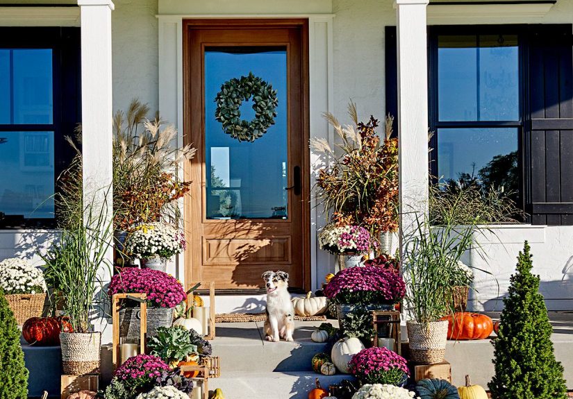 How Long Do Mums Bloom, and When Is the Best Time to Plant Them?