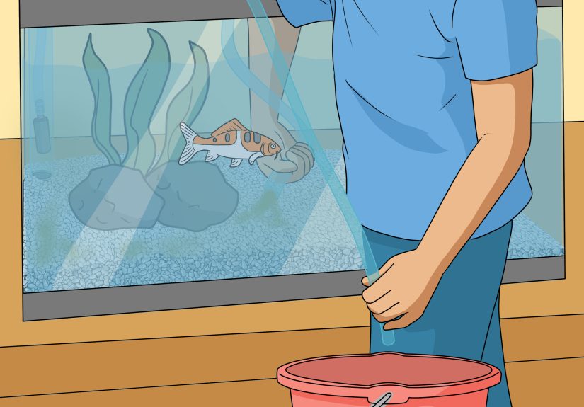 How to Install an Undergravel Filter (UGF)