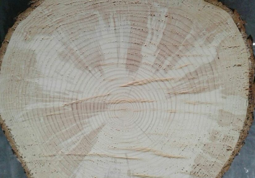 How to Make an Epoxy Glass Tree on a Wood Slice DIY