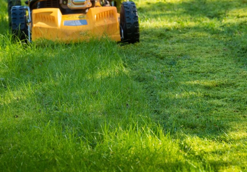 How to Pick the Best Height to Cut Grass for a Greener Lawn
