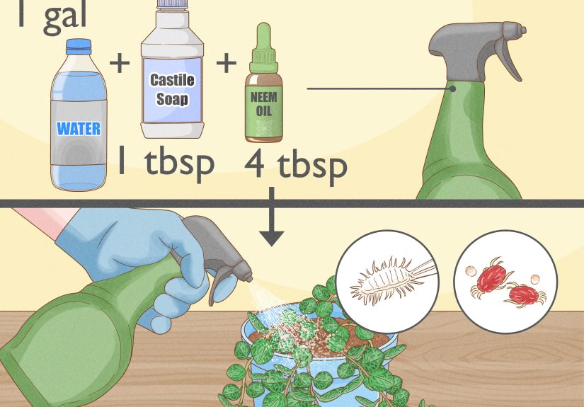 How to Propagate String of Turtles: What You Need to Know