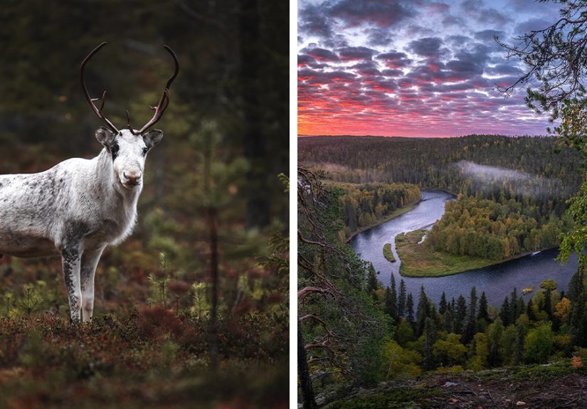 I Captured Finland’s Extraordinary Wilderness (23 Pics)