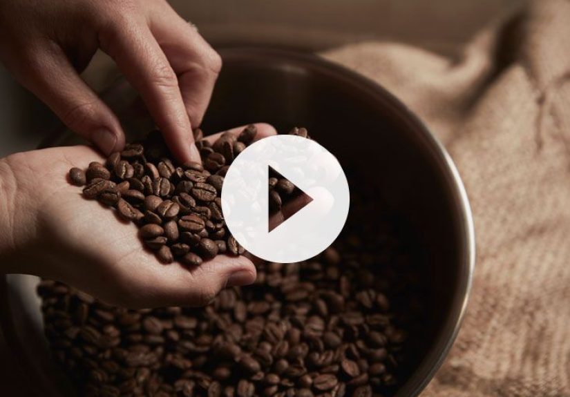 Is Eating Coffee Beans Safe? Benefits and Safety
