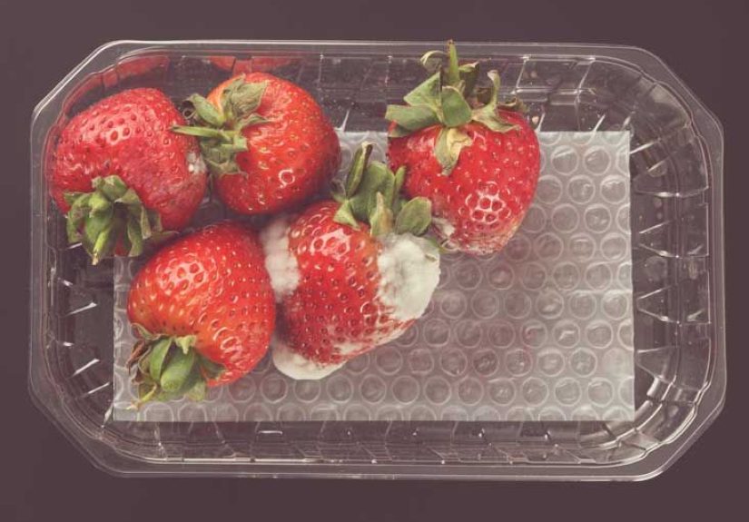 Is Moldy Food Dangerous? Not Always