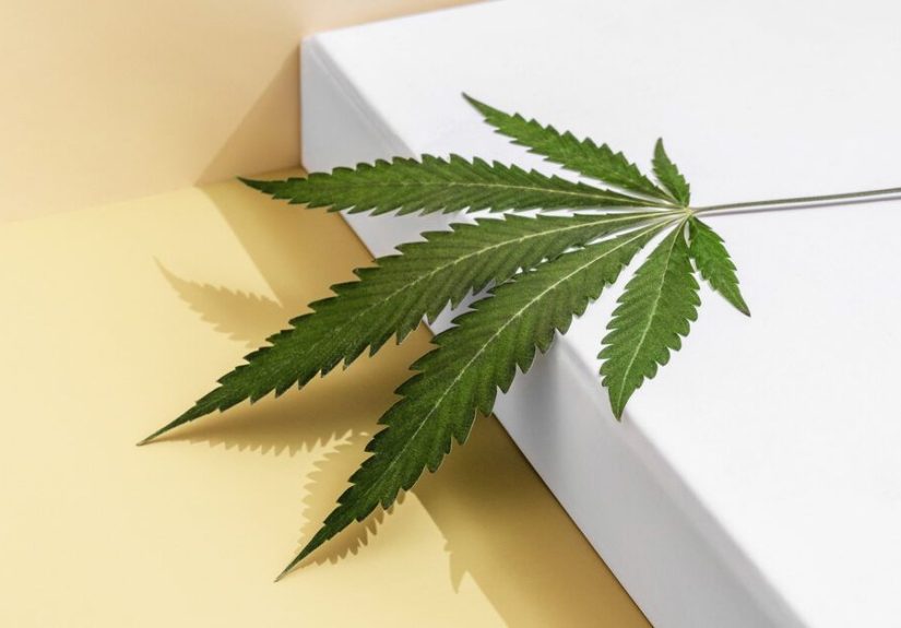 THCV: Everything We Know About So-Called “Diet Weed”