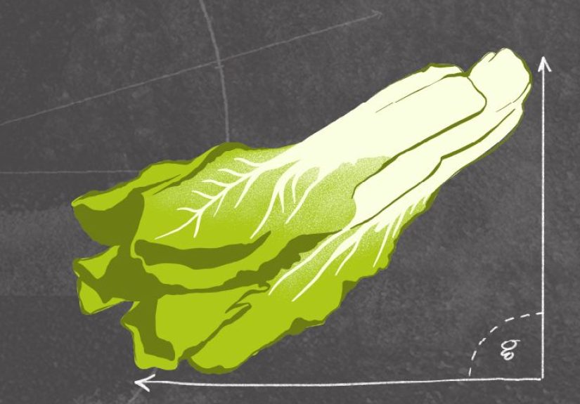 What Does Scientific Evidence Say About the Paleo Diet?