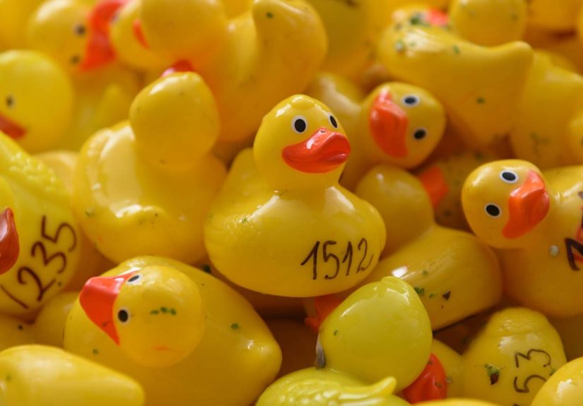 Why Do People Hide Rubber Ducks on Cruise Ships?