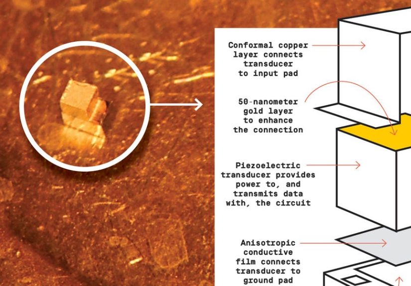 World's Smallest Implantable Chip