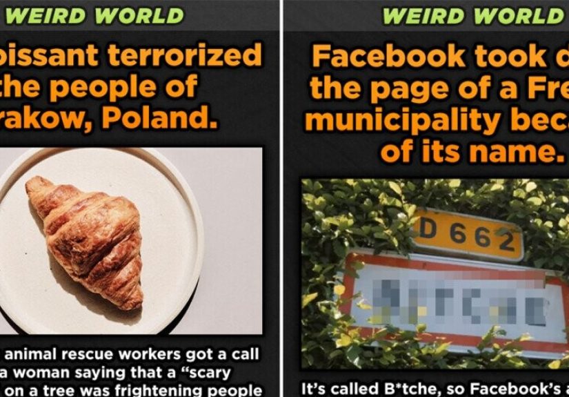 11 Pieces of Deeply Strange News From Small Communities