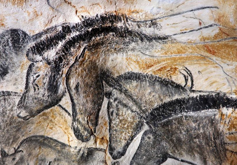 13 Facts About the Chauvet Cave Paintings