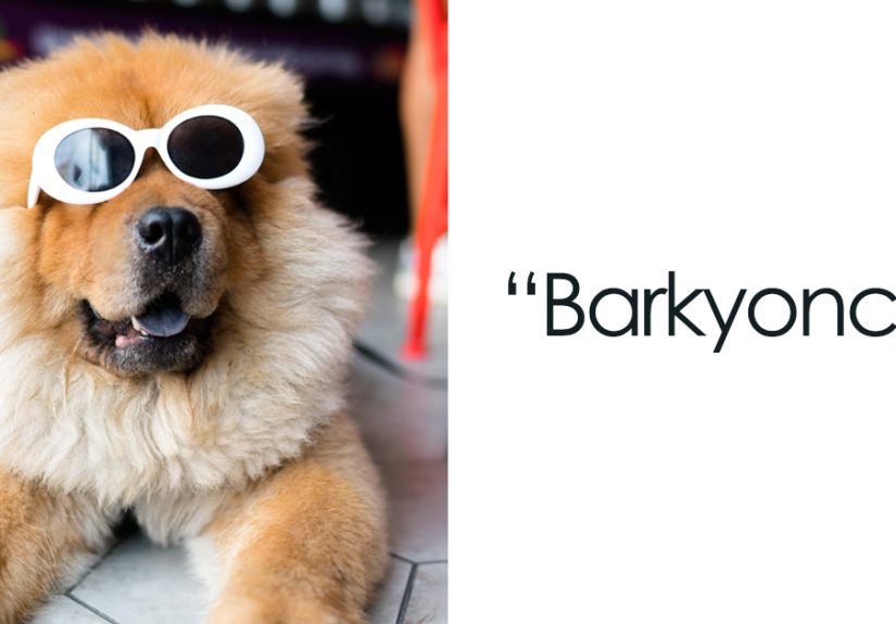 168 Creative Dog Pun Names For The Goodest Bois And Gals