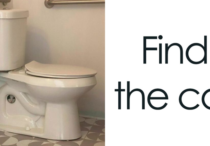 50 Hilarious Feline Memes From The Wholesome Cat Community “CatCon Worldwide”