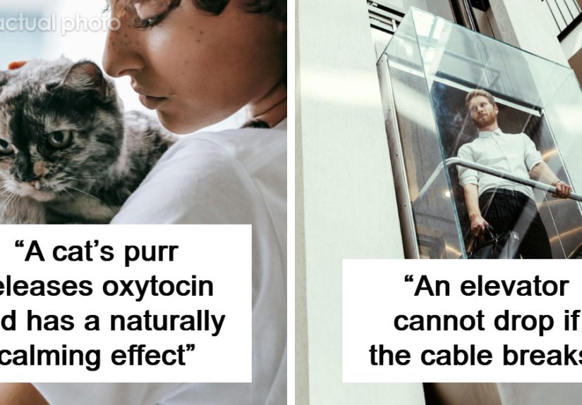50 Reassuring Facts Not Everyone Might Be Aware Of, According To People Online