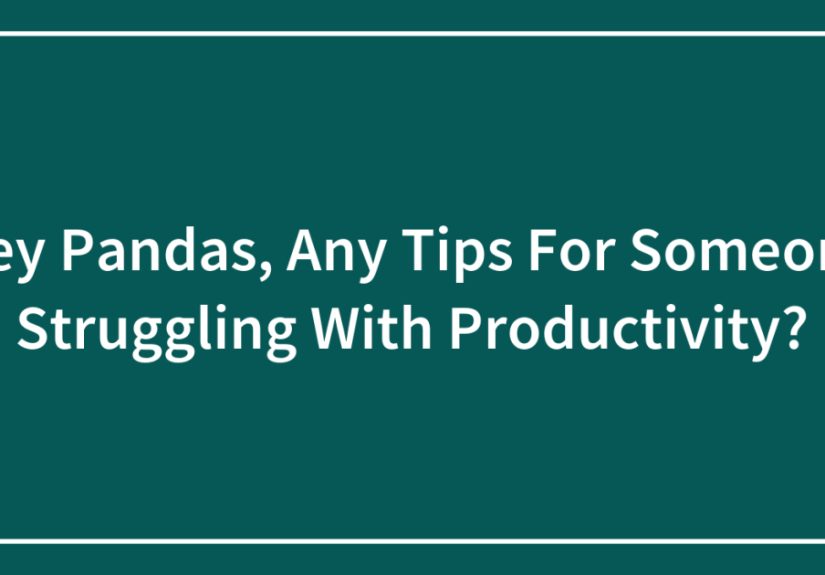 Hey Pandas, Any Tips For Someone Struggling With Productivity?