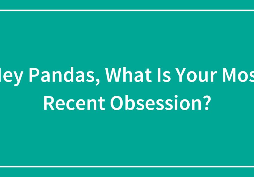 Hey Pandas, What Is Your Most Recent Obsession?