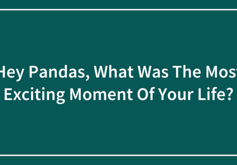 Hey Pandas, What Was The Most Exciting Moment Of Your Life?