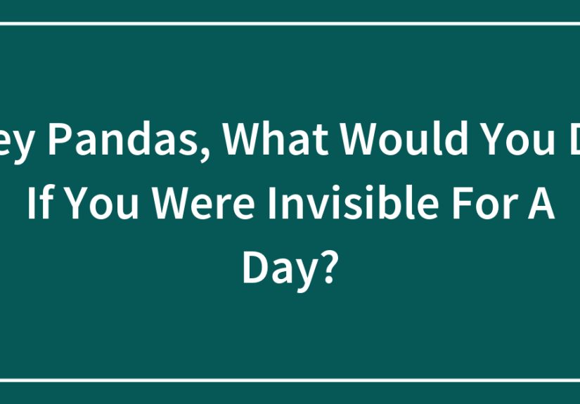 Hey Pandas, What Would You Do If You Were Invisible For A Day?