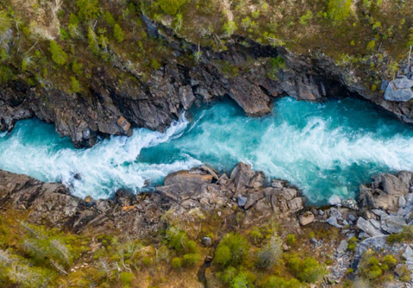Hospital as a River: Navigating Uncertainty and Empathy