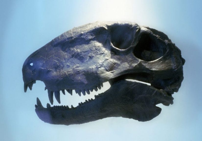 How Did the Dinosaurs Die? - Scientists Finally Have an Answer