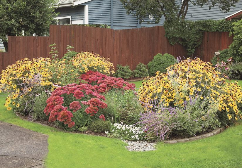 How to Build a Rain Garden