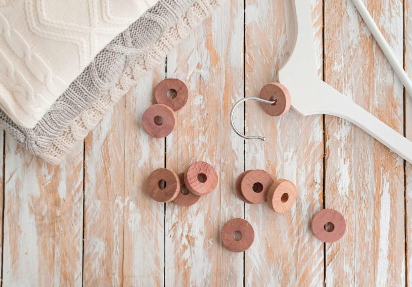 How To Get Rid of Moths in Your Pantry or Closet