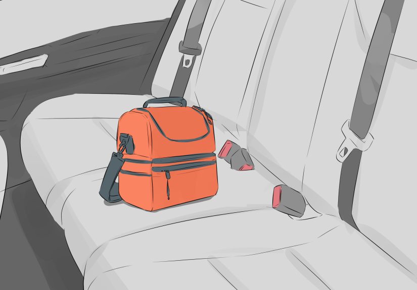How to Keep Your Phone Cool in the Car: 10 Steps