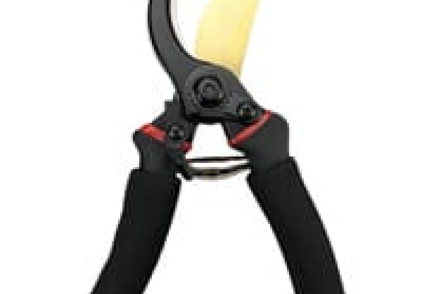 How to Maintain Bypass Pruners