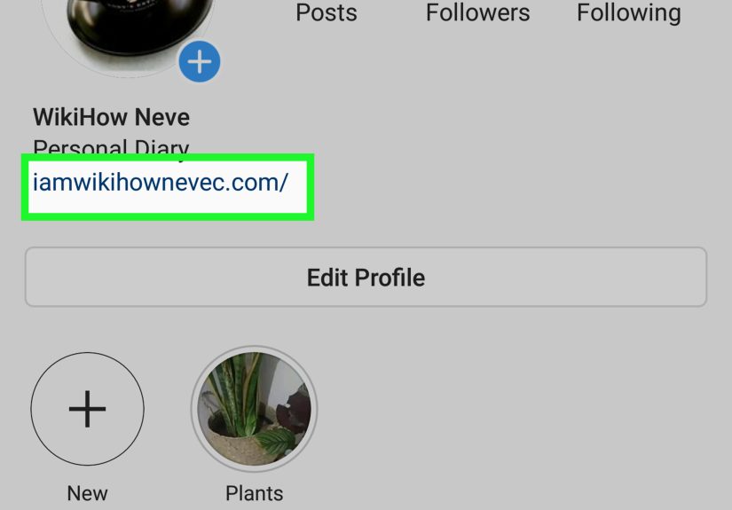 How to Make Money on Instagram