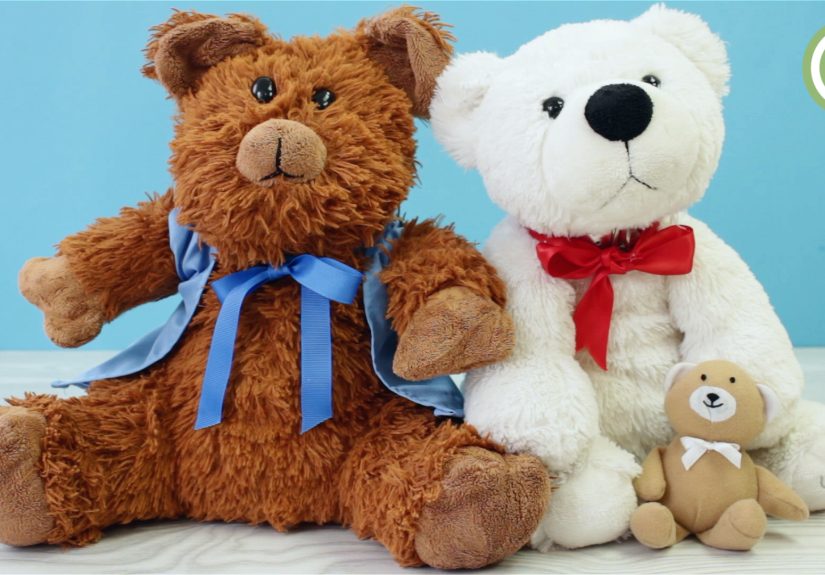 How to Refurbish a Teddy Bear: 14 Steps