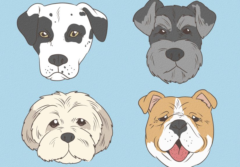 How to Treat Kidney Stones in Dogs: 11 Steps